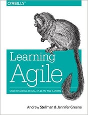 Learning Agile cover